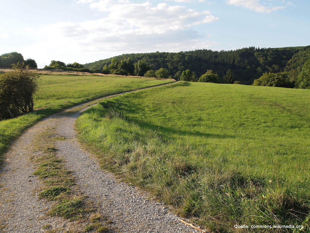 Weg über Wiese